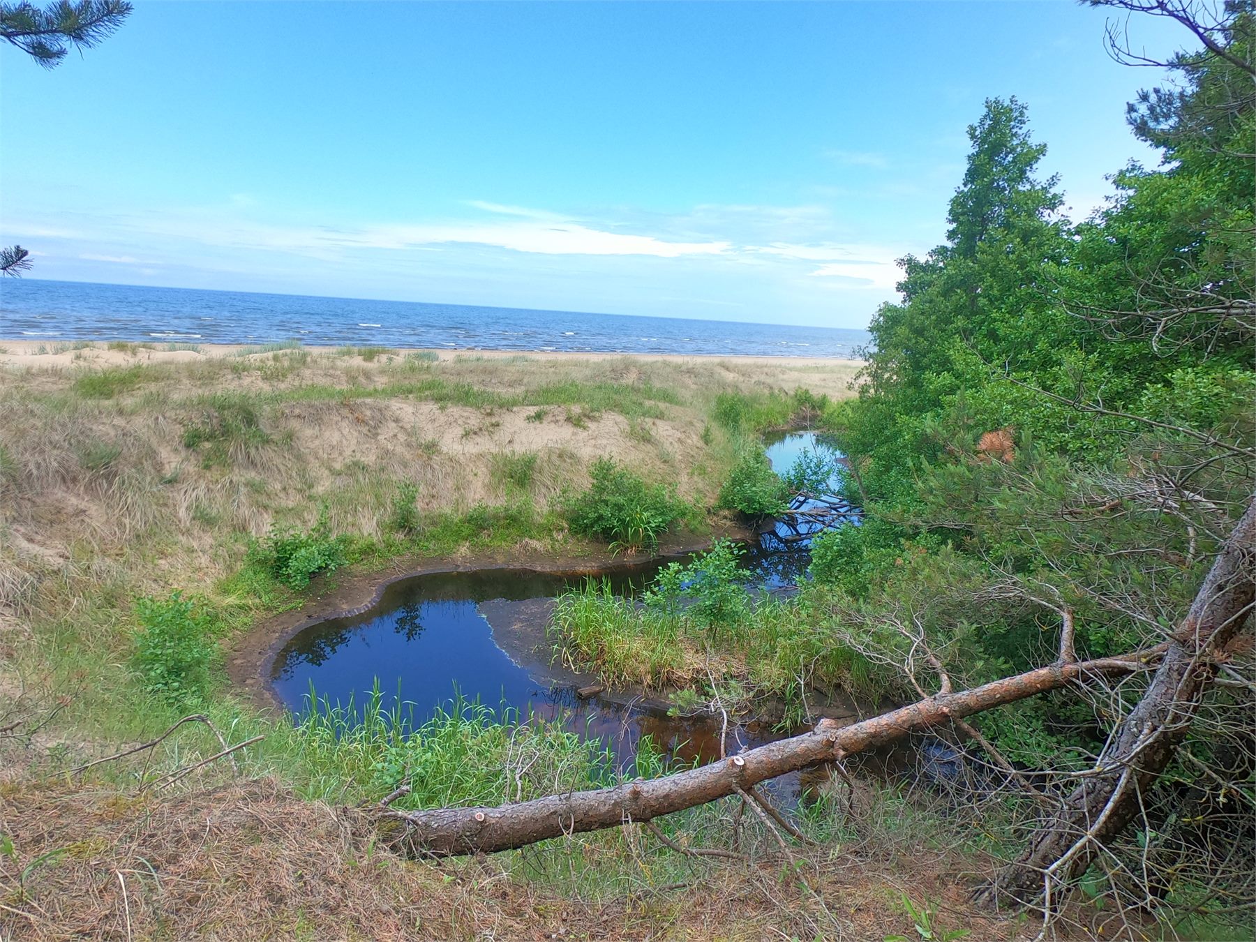 Jūras Mala piekraste